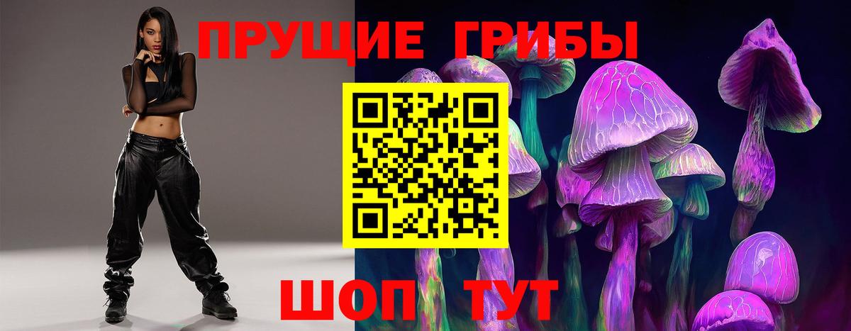 Галлюциногенные грибы Psilocybine cubensis Новочеркасск